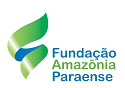 Fundação Amazônia abre Processo Seletivo com oito vagas