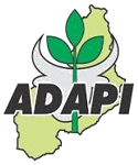Concurso ADAPI: novo edital autorizado; veja os principais pontos