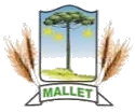 Prefeitura De Mallet Pr Abre Processo Seletivo Para Cuidador E Auxiliar De Cuidador