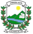 Prefeitura De Vargem Alta Es Abre Processo Seletivo Para Agentes De Saude E De Endemias